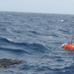 FAD (Fish Aggregating Device)