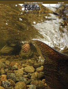 A caudal fin graced the Summer 2012 cover of Eddies magazine (fws.gov/eddies)
