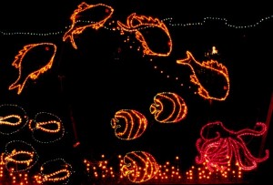 Bioluminescent fish don't need twinkle lights to make their season bright!  Happy Holidays! (riverbanks.org)