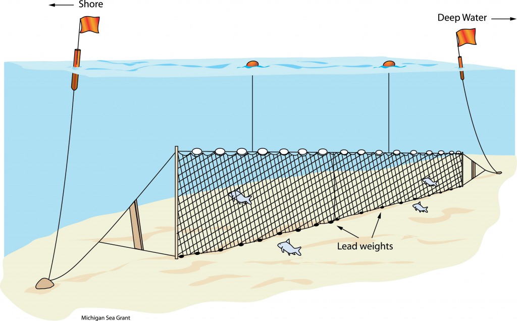 Jugar Trap Design Fishing Mesh Net No Need Hooks 00aA